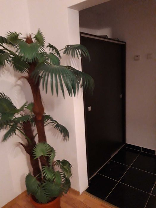 inchiriez apartament 2 camere piata mare etaj 1