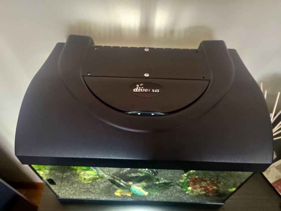 Acvariu Diversa 25 l