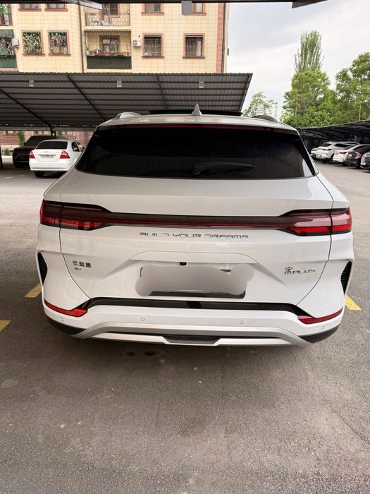 Byd chenpion honr 605