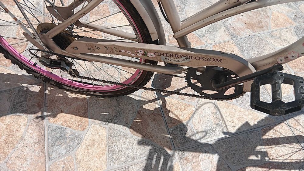 Bicicleta de Fete