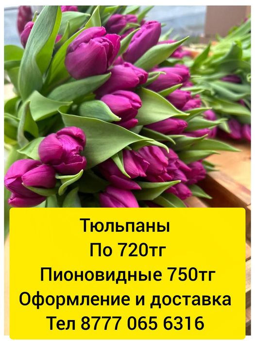 Тюльпаны пионовидные