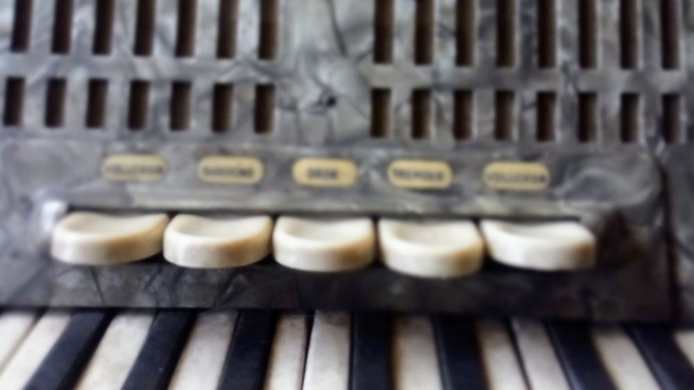 Наддаване от 500лв.  за уникален акордеон Weltmeister