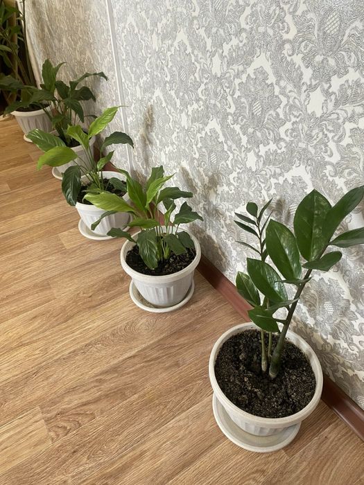 Продается 2 комнатная квартира