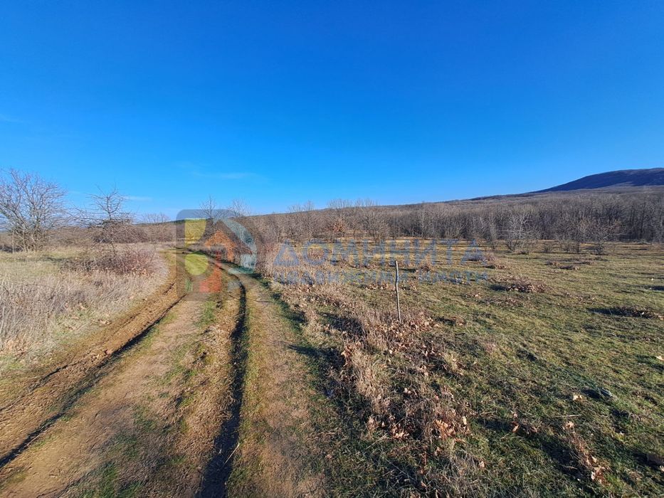 Продава се Земеделски имот в с. Велика, Област Бургас -  кв.м за 4875 €/дка - Снимка #13