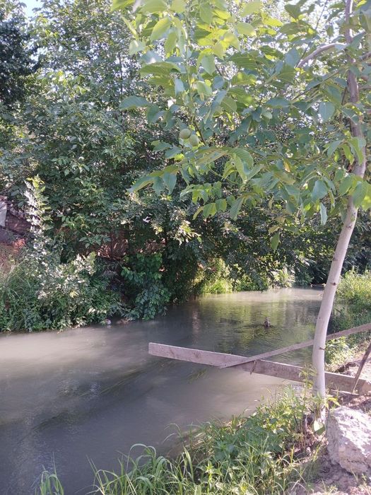 Uy biznis uchun joy moyka dokon