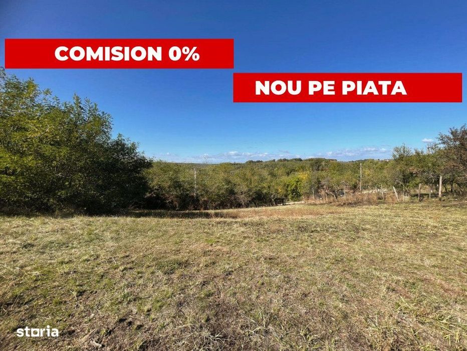 Teren jud Arges Babana