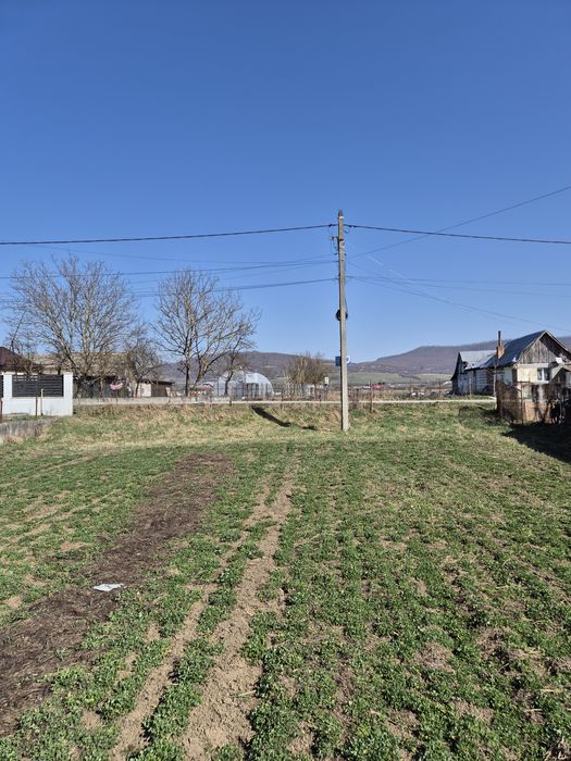 Teren intravilan, Chintelnic, 27 ari