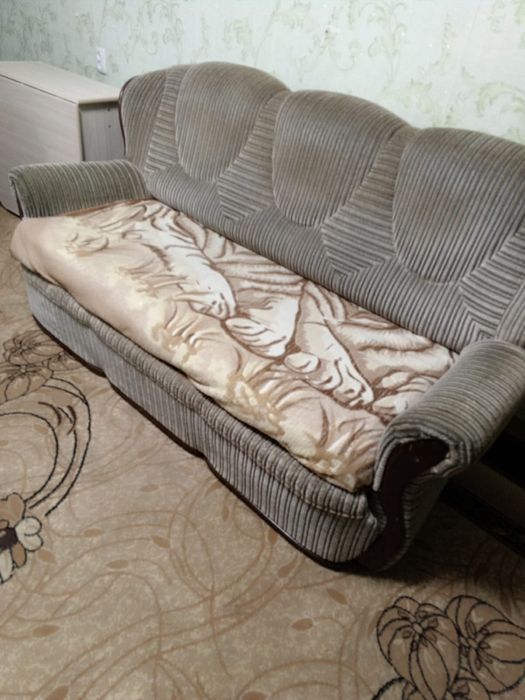 Отдам (самовывоз)