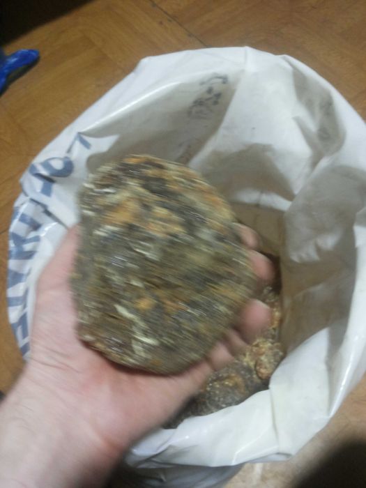 Канифоль сосновая ссср