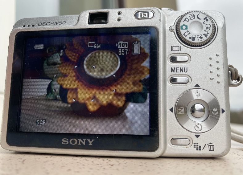 Sony  cybershot DSC W50