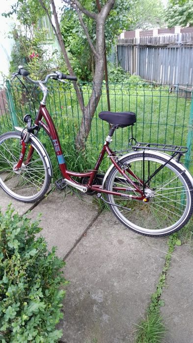 Bicicleta electrică +bicicleta