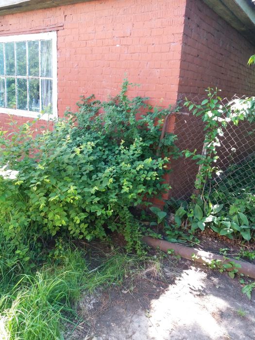 Продам дачу.Можно под жильё.