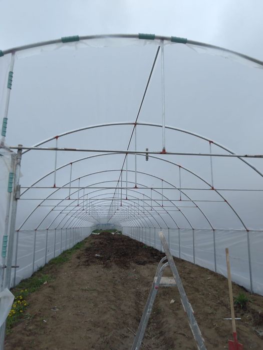 Solarii legume și flori