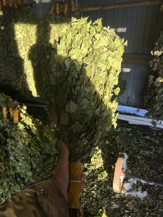 Продам банные веники