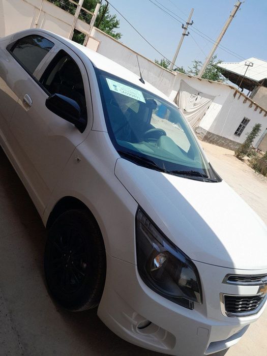 Kobolt Midnight yangi 2025