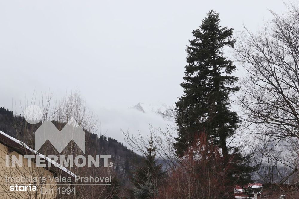 Teren de vânzare în Azuga – Zonă Pârtie | Cod ofertă: TR276