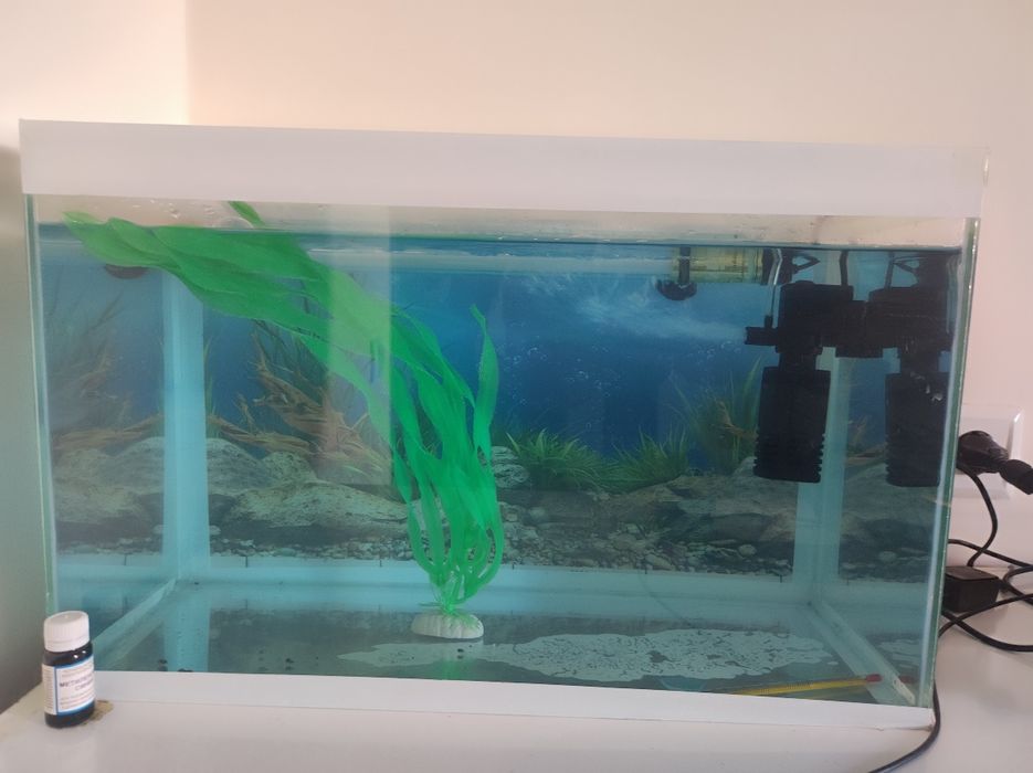 Akvarium 40 litrlik