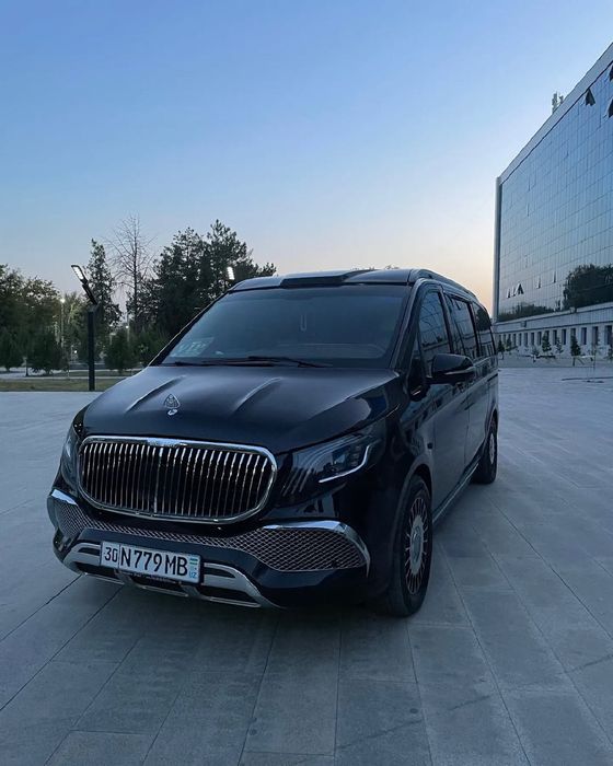 Mersades vito w447