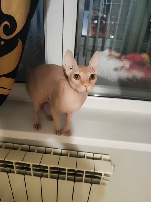 Продаю.          .