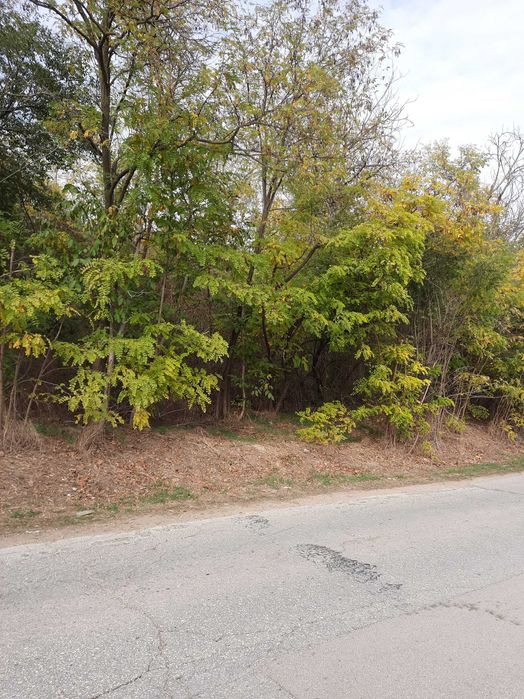 Земеделски имот в град  Плевен