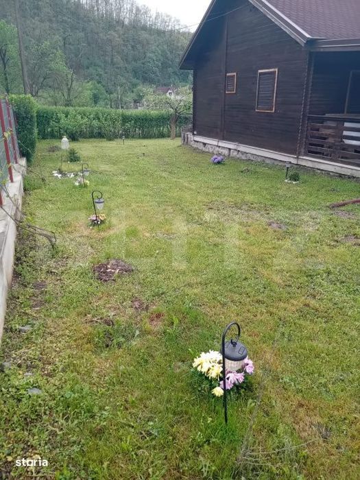 Cabana + teren generos, 60 mp utili, 30 km de Deva - Boz