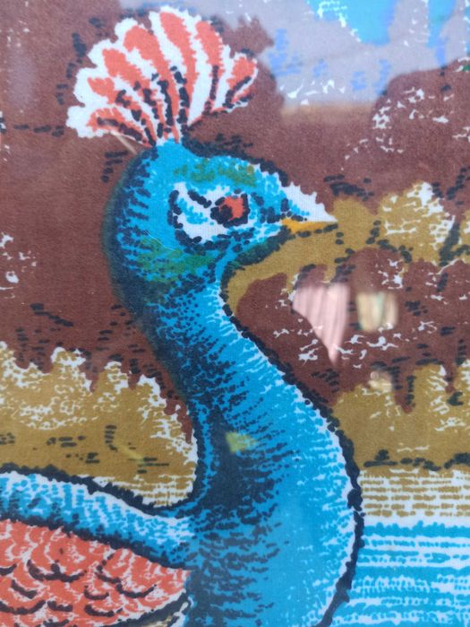 Картина два пауна