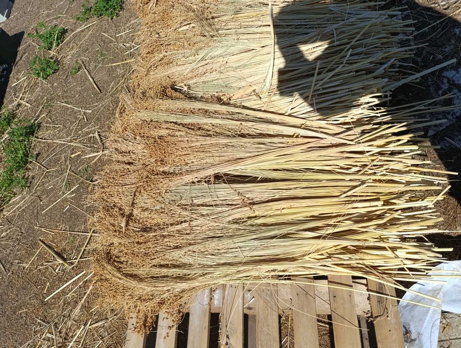 Продава се Метлен Клас