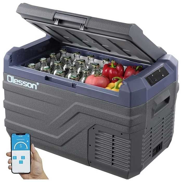Olesson 27L Портативен хладилник с фризер 12V 24V 220V Хладилна кутия
