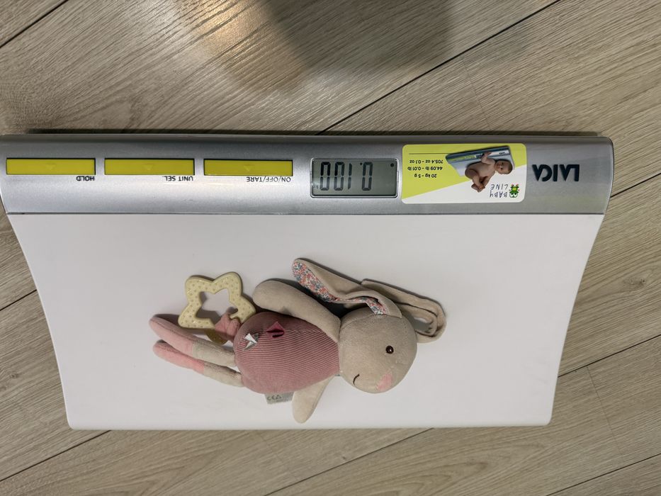 Cantar pentru bebelusi Laica