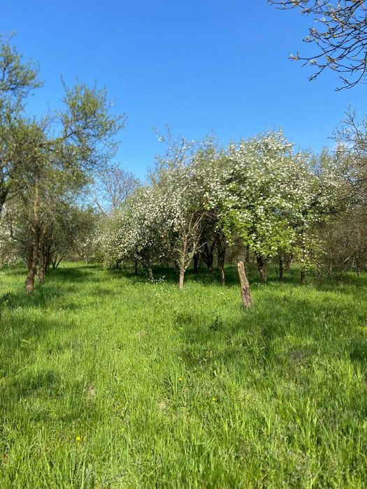 Teren intravilan de vânzare – Ostrov, Râu de Mori | Zonă superbă lângă Retezat