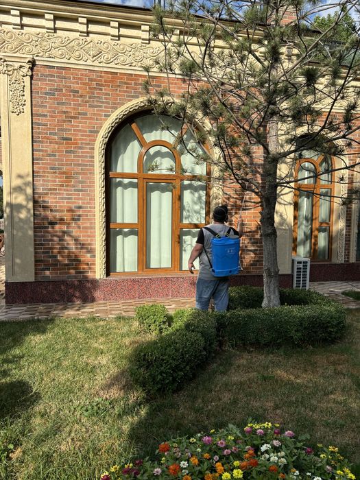 dezinfeksiya дезинфекция  дизинфекция dizenfeksiya