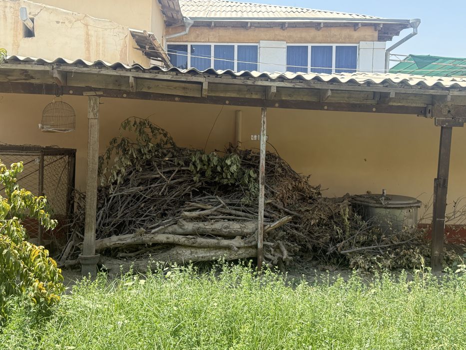 Дарахтлардан чиккан утин сотилади,яхши куриган, катта кунда хам бор