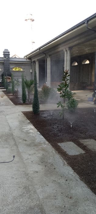 Arch gul dekratif daraxtlar ekish gazon ekish