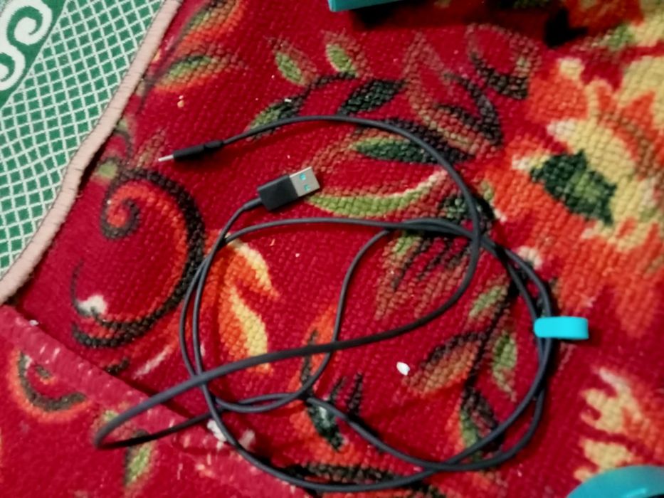 Голонка алиса станция лайт