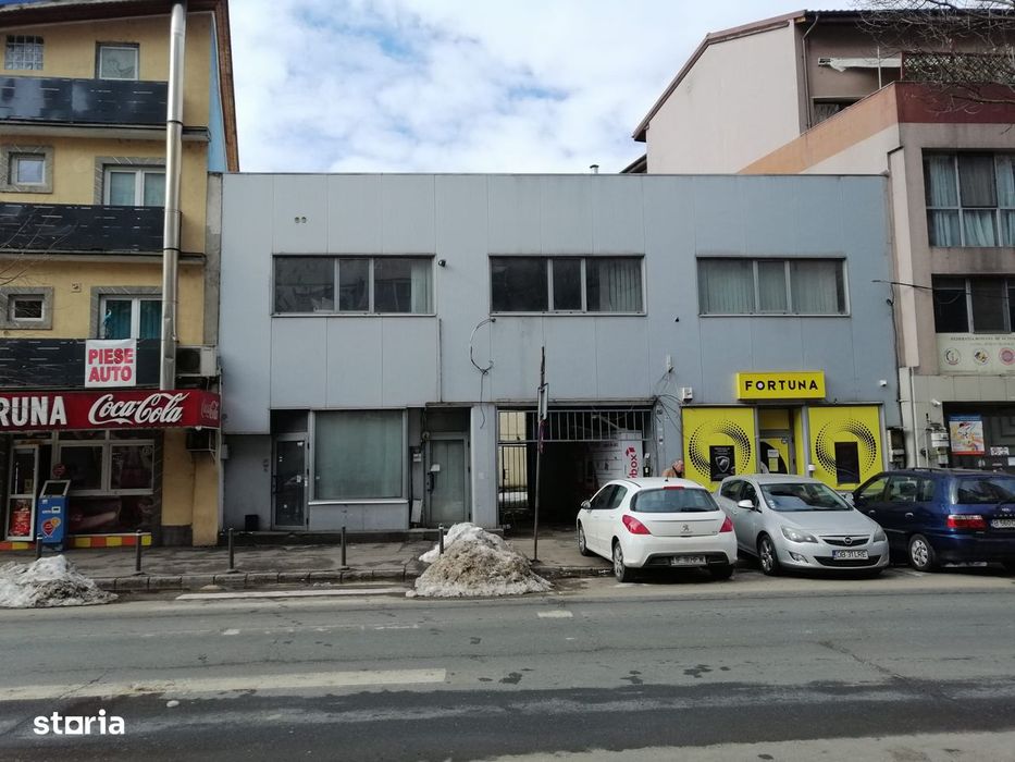Spatiu Comercial Inchiriat 340mp - Strada Teiul Doamnei numarul 89