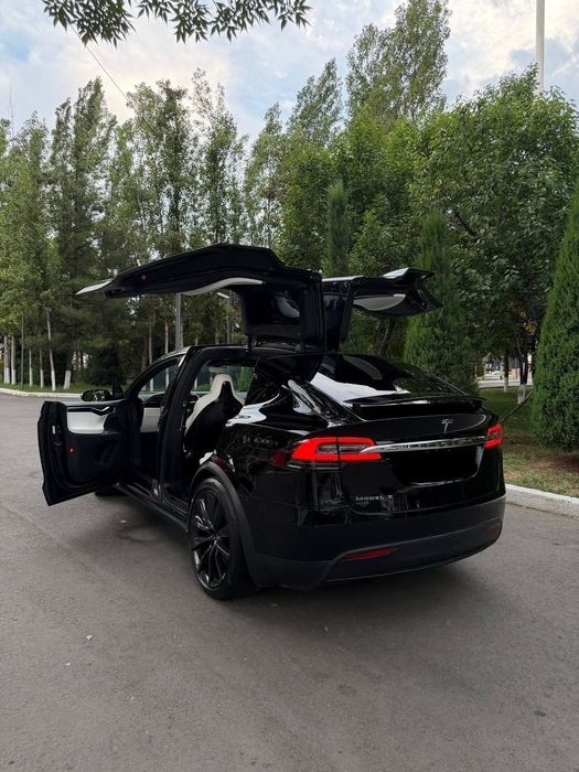 Tesla Model X Perfomance Duall Motor