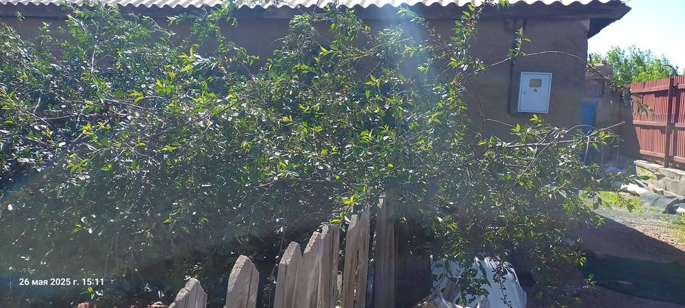 Отдельный дом Жангельдина 29