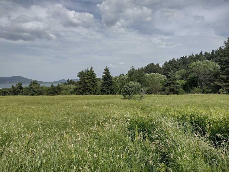 Продава се Парцел в Батак - 632 кв.м за 44 €/кв.м - Снимка #3