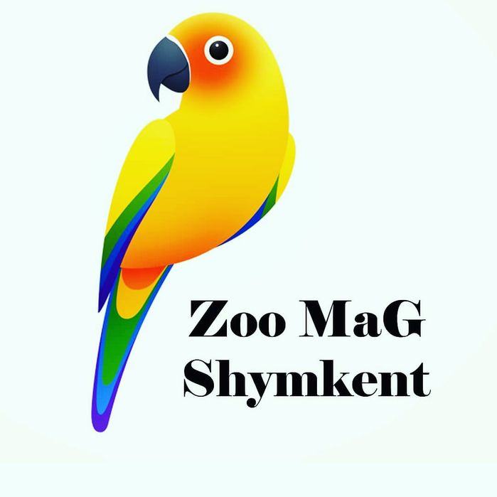 Попугай Неразлучники