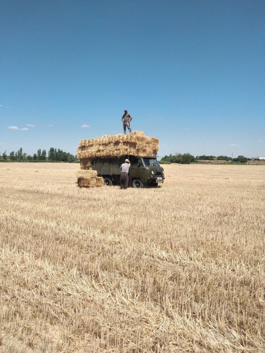 УаЗ бартавой ишчи холатда