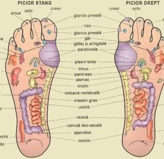 Masaj personalizat, pt slăbit, terapeutic, de relaxare și combinat+ re