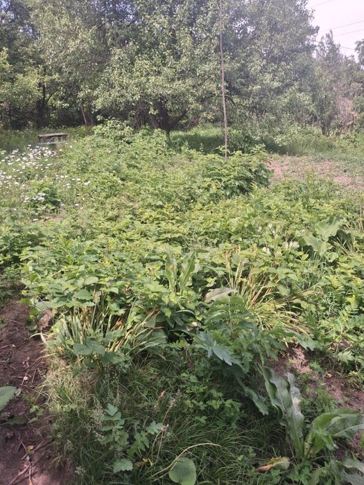 Продам дачу в текелях