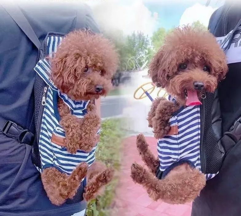 Продам переноску для животных