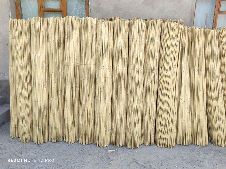 Qamish chiy boyra maxsuloti