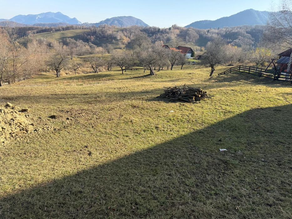 Teren in Bran, Sohodol, Utilitati si Parcare