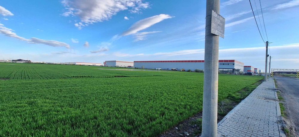 Teren intravilan 3400 mp, Dragomiresti-Deal, Str. Ulmului