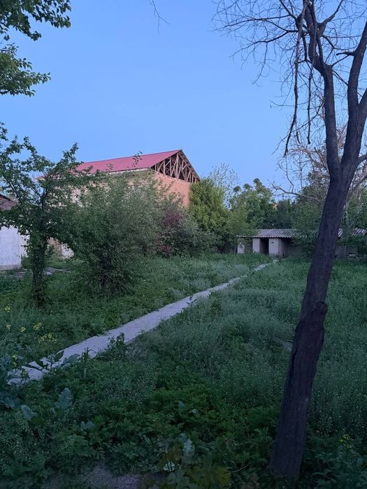 Участок Ок уй Яшнобадский район 8.3 соток