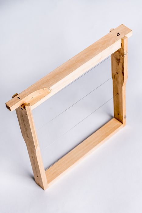 Оплодни рамки нуклиус