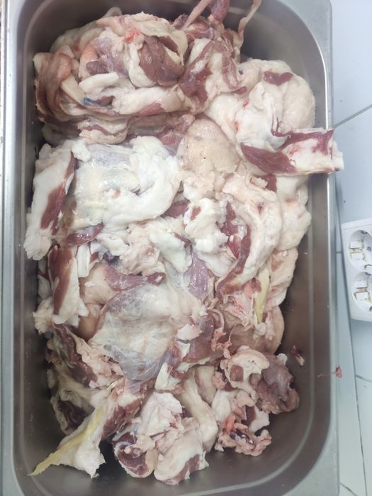 Барани жир кой субе