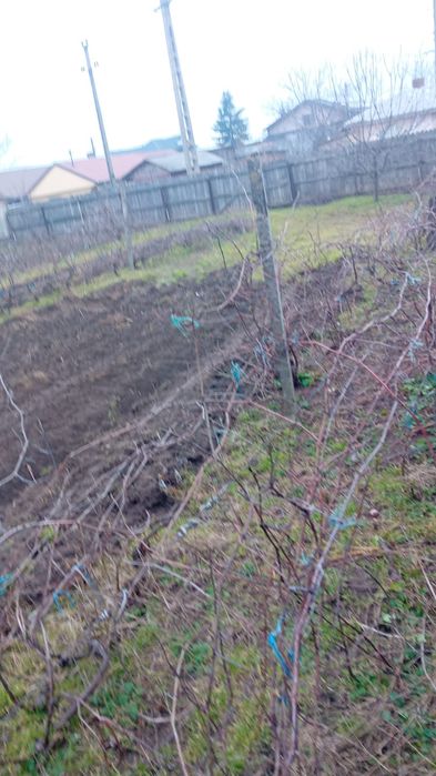 Casă de vânzare in comuna Gugesti